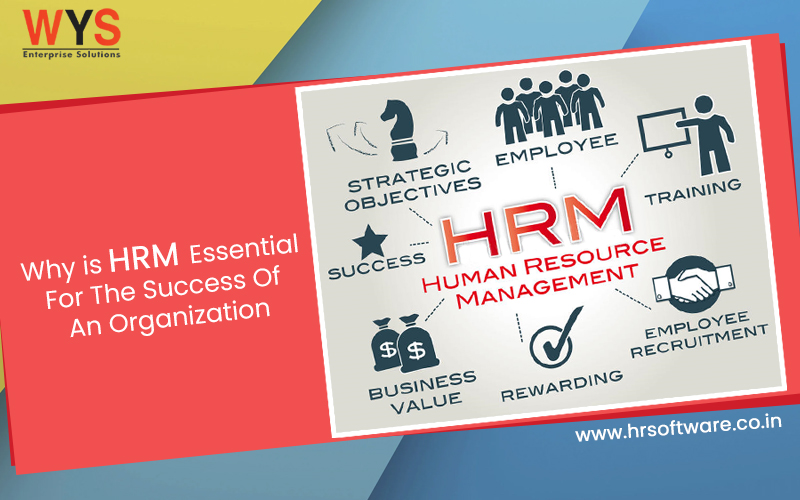 Cloud-Based HRM Systems